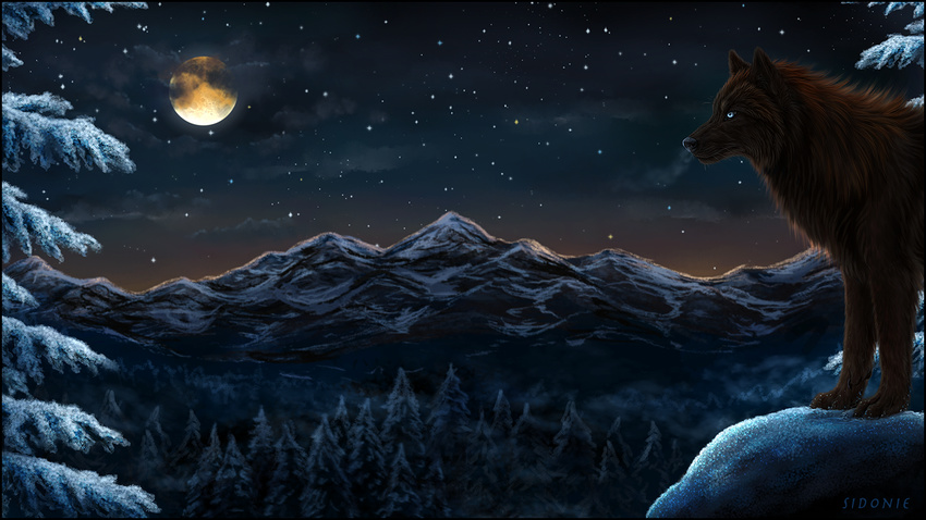 2017 black_nose blue_eyes brown_fur canine detailed_background digital_media_(artwork) feral fur mammal moon night outside paws sidonie sky snow solo standing star starry_sky wolf