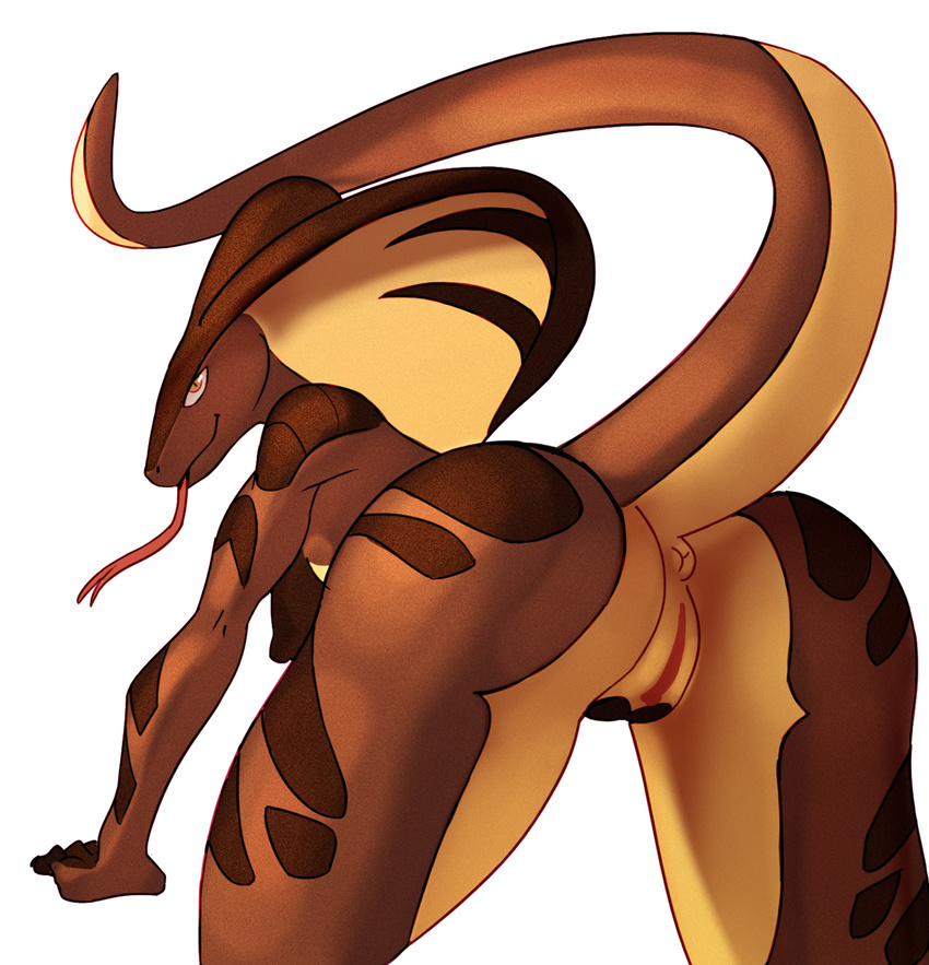 2016 anthro anus bedroom_eyes big_breasts big_butt breasts butt cobra female forked_tongue half-closed_eyes happy hi_res looking_at_viewer looking_back myheartpumpspiss naughty_face non-mammal_breasts nude presenting presenting_hindquarters presenting_pussy pussy raised_tail reptile scalie seductive silel simple_background smile snake snake_hood solo standing thick_thighs tongue tongue_out