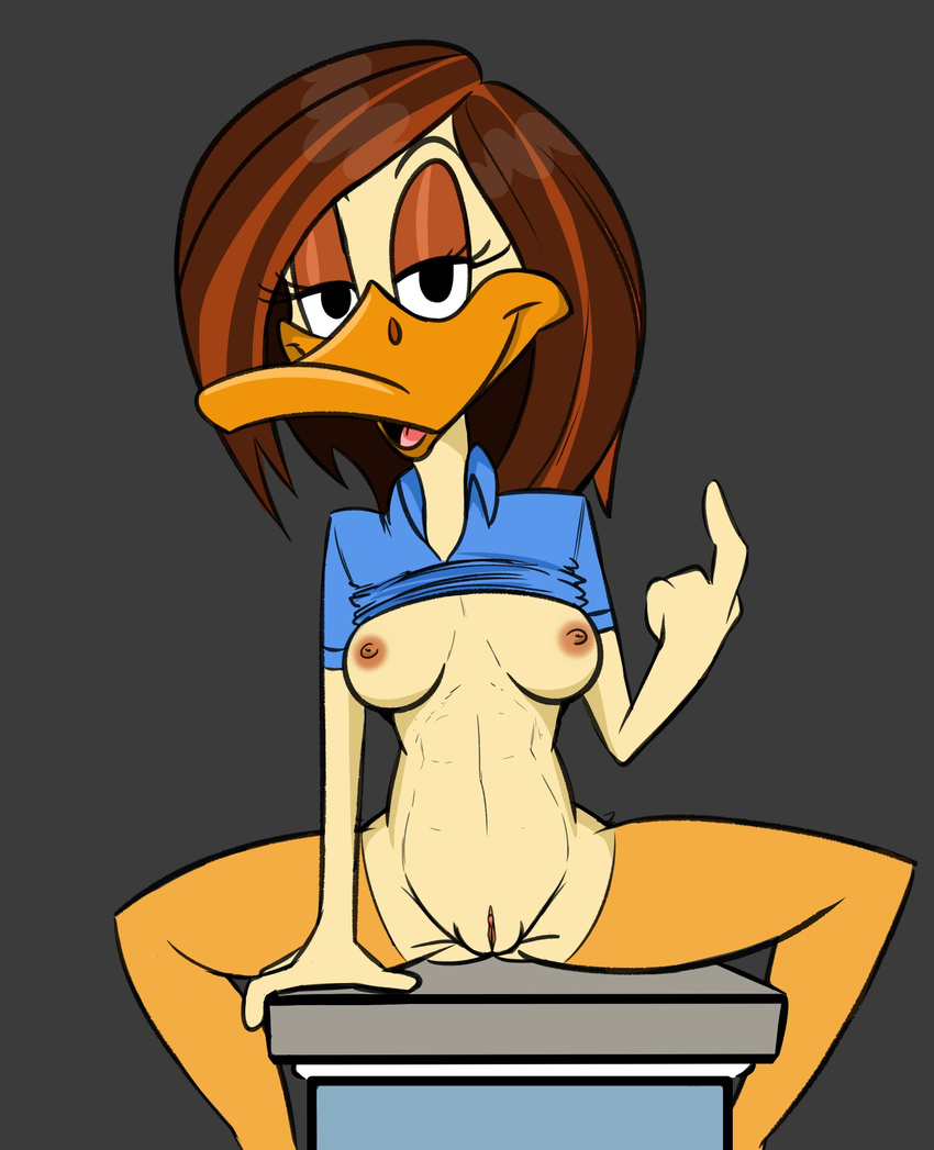 anthro areola avian bird breasts brown_hair clitoris clothing duck duplicitousmachine erect_nipples female hair looking_at_viewer looney_tunes nipples presenting presenting_pussy pussy seductive solo spread_legs spreading the_looney_tunes_show tina_russo tongue warner_brothers