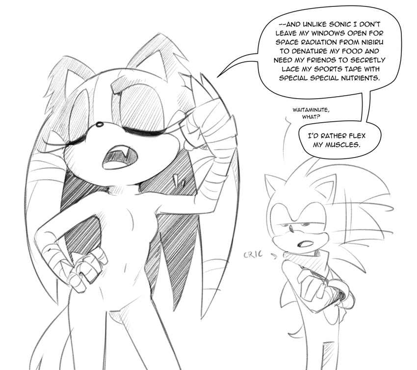 anthro arm_wraps badger black_and_white breasts costume_swap epictones featureless_breasts featureless_crotch female hedgehog knuckles_the_echidna male mammal monochrome mostly_nude mustelid sonic_(series) sonic_boom sonic_the_hedgehog sticks_the_jungle_badger wraps