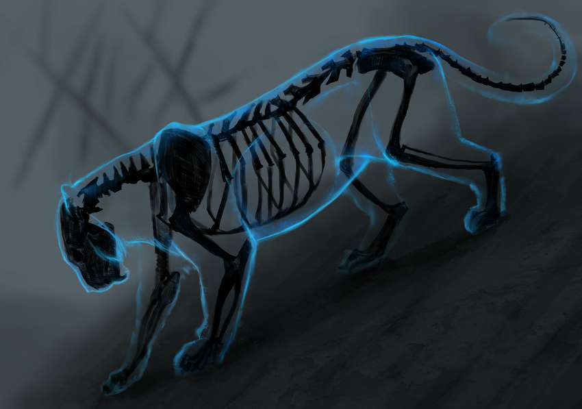 ambiguous_gender black_bone bone cat digital_media_(artwork) feline feral jademere mammal paws skeleton solo translucent_body