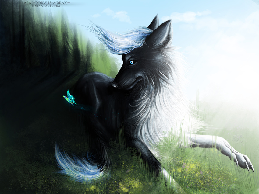 2014 alaiaorax ambiguous_gender arthropod black_fur blue_eyes butterfly canine day digital_media_(artwork) dog duo fur grass hair insect long_mouth lying mammal no_sclera outside white_hair