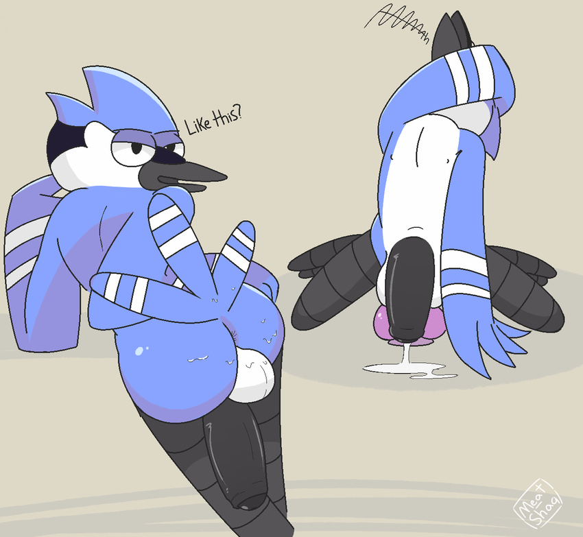 avian balls bird butt cartoon_network cum meatshaq mordecai_(regular_show) penis regular_show