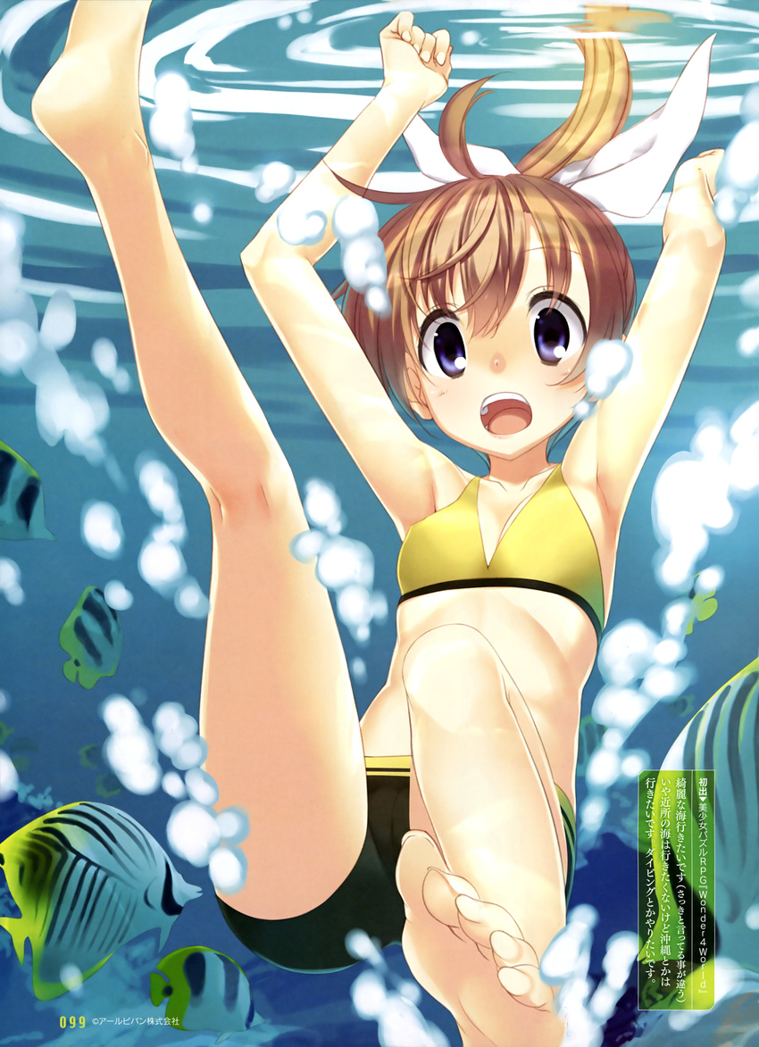 :o absurdres ahoge air_bubble armpits arms_up barefoot bikini bikini_shorts blue_eyes bow breasts brown_hair bubble butterflyfish dengeki_moeou feet fish floating_hair hair_bow highres kagome_(traumatize) kneepits leg_up legs long_hair looking_at_viewer open_mouth ponytail ripples scan shorts small_breasts soles solo swimsuit toenails toes underwater wonder_4_world