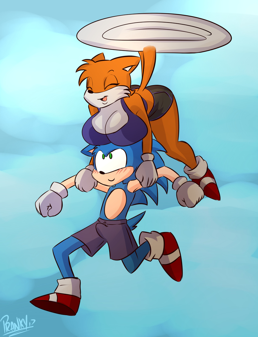 boob_hat breasts canine cleavage clothed clothing crossgender fox hedgehog mammal miles_prower mobian_(species) pranky sonic_(series) sonic_the_hedgehog