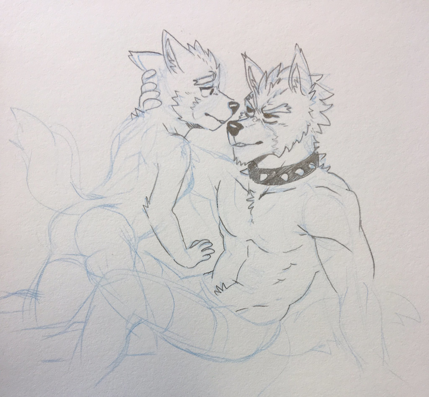 anthro blush canine clothing duo fox fox_mccloud larger_male male male/male mammal mostly_nude muscular muscular_male nintendo plummy size_difference smaller_male star_fox underwear video_games wolf wolf_o'donnell