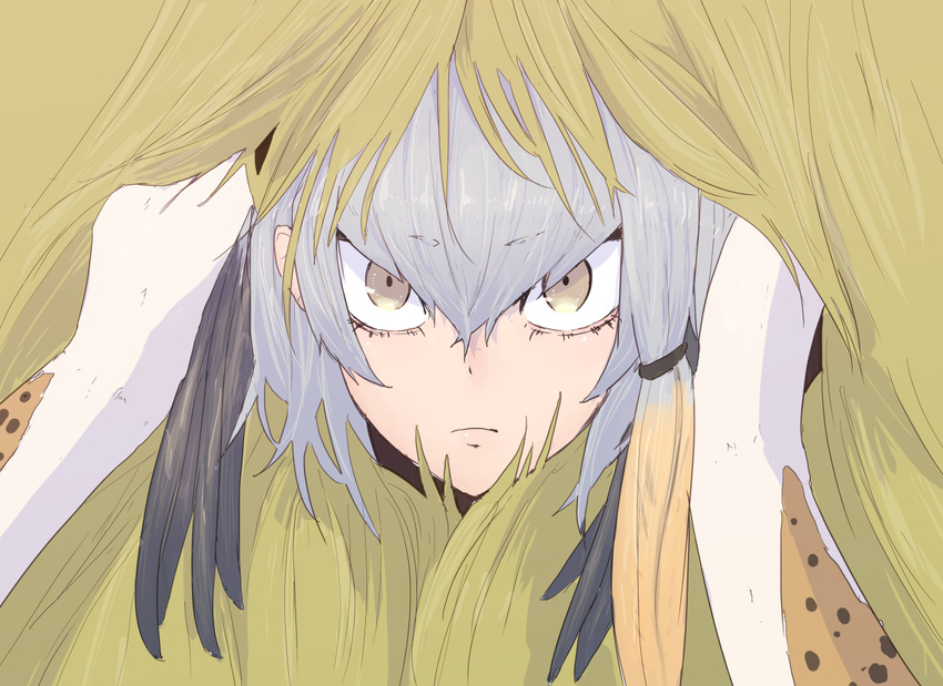 black_hair close-up closed_mouth commentary gloves hair_between_eyes hakuro109 hay haystack hokuto_no_ken kemono_friends looking_at_viewer multicolored_hair multiple_girls parody serval_(kemono_friends) shoebill_(kemono_friends) side_ponytail silver_hair solo_focus two-tone_hair white_gloves