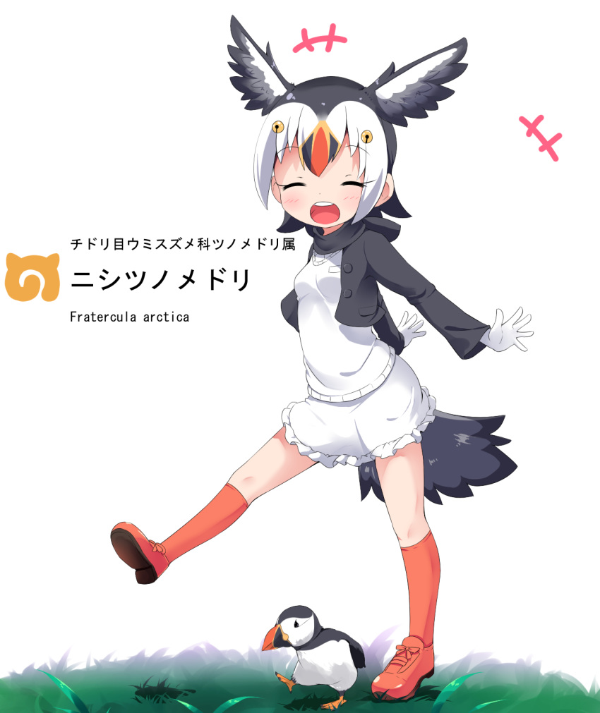 +++ 1girl :d ^_^ animal atlantic_puffin_(kemono_friends) bird black_hair black_jacket blush character_name closed_eyes commentary_request cropped_jacket eyes_closed facing_viewer feathered_wings frilled_skirt frills gloves head_wings highres jacket kemono_friends kneehighs long_sleeves makuran multicolored_hair namesake open_clothes open_jacket open_mouth orange_footwear orange_hair orange_legwear red_hair round_teeth shirt shoes skirt smile solo standing standing_on_one_leg sweater_vest teeth upper_teeth white_background white_gloves white_hair white_shirt white_skirt white_wings wings
