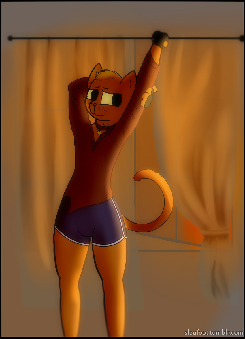 2017 anthro boxers_(clothing) casey_(nitw) cat clothed clothing collar curtains cute feline fingerless_gloves fully_clothed fur girly gloves inside male mammal night_in_the_woods orange_fur shorts sleufoot smile solo stretching sweater underwear v_neck whiskers wide_hips window