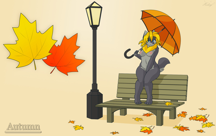 2017 anthro autumn bench blonde_hair blue_eyes breasts canine digital_media_(artwork) exhibitionism female fur grey_fur hair helsy lafille lamp leaves mammal nude outside park semi_public solo standing umbrella wallpaper wolf