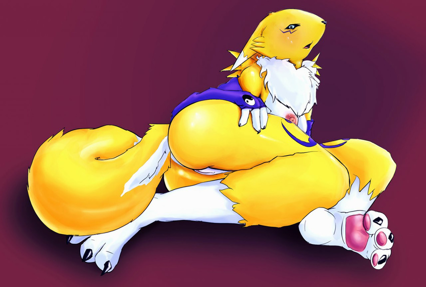 breasts butt canine digimon female fox fritzlesticks looking_at_viewer mammal neck_ruff nipples nude pussy renamon solo