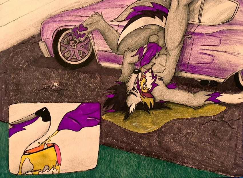 anatomically_correct animal_genitalia anthro bossman1969 canine car dog drinking drinking_urine fur grey_fur lying male mammal nude on_back on_ground peeing penis purple_penis simple_background solo urine urine_in_own_mouth vehicle watersports wetting