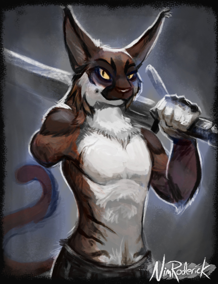 2017 amputee anthro caracal cat clothed clothing digital_media_(artwork) feline halvkatten looking_at_viewer male mammal melee_weapon nimroderick one_arm partially_clothed pose scar solo standing sword topless weapon