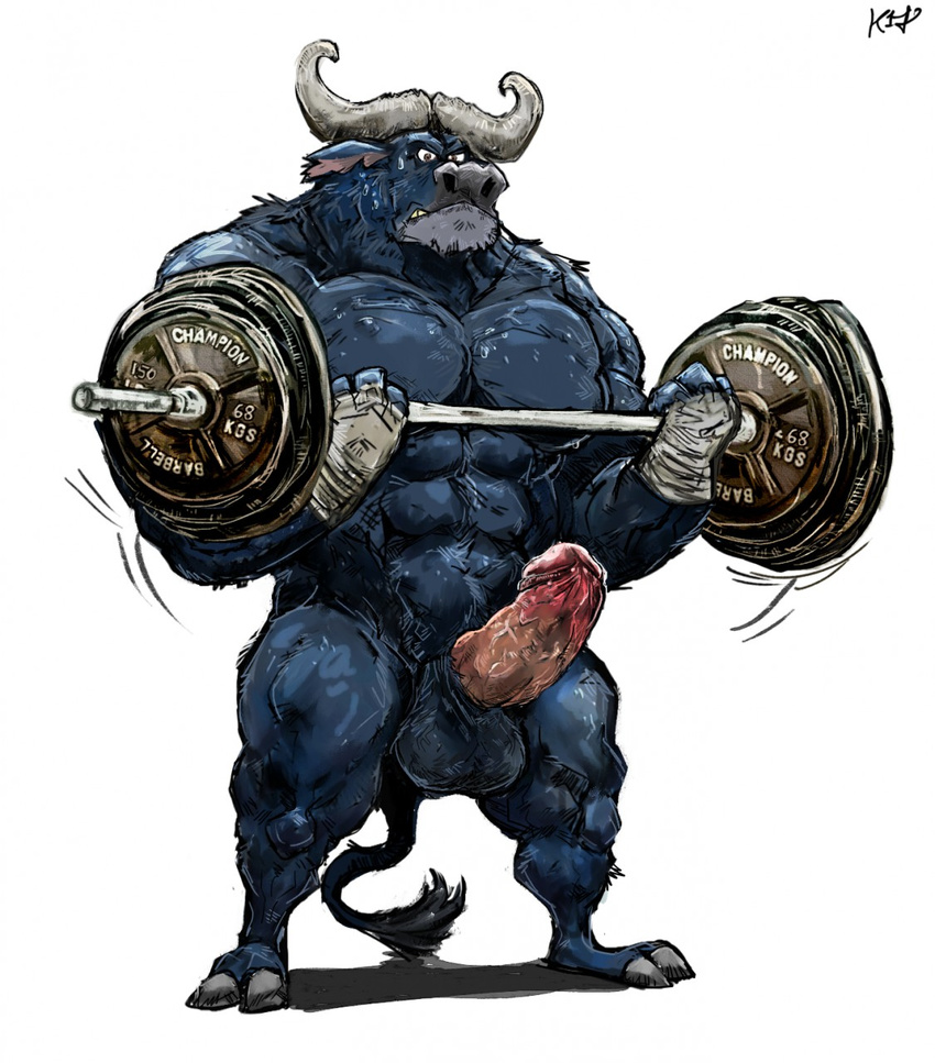 anthro aokmaidu balls bovine buffalo chief_bogo disney erection exercise humanoid_penis male mammal muscular nude penis solo weightlifting workout zootopia