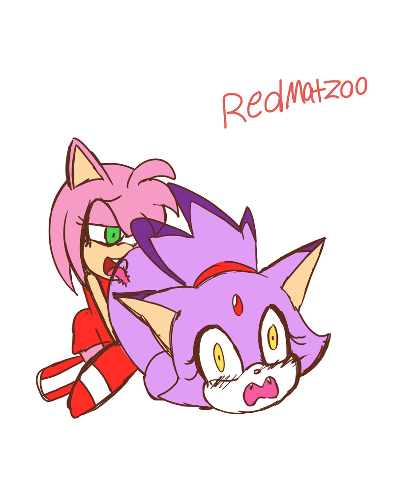 amy_rose animated anthro blaze_the_cat blush cat cunnilingus eyelashes fangs feline female female/female forehead_gem green_eyes hedgehog interspecies licking mammal nude open_mouth oral redmatzoo sex sonic_(series) tongue tongue_out vaginal yellow_eyes