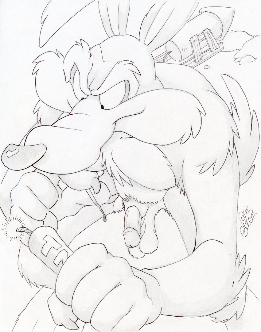 anthro balls canine coyote dudebulge flaccid greyscale hi_res high-angle_view humanoid_penis looney_tunes male mammal monochrome nude pencil_(artwork) penis signature simple_background solo toony traditional_media_(artwork) warner_brothers white_background wile_e._coyote