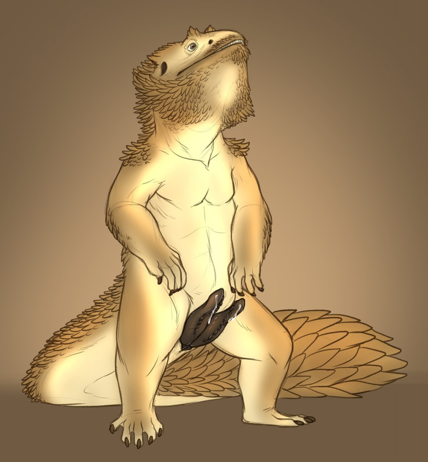 2017 5_fingers 5_toes animal_genitalia animal_penis anthro bearded_dragon black_penis brown_background brown_eyes brown_scales brown_skin claws digital_media_(artwork) digitigrade erection front_view genital_slit hemipenes lizard looking_up male multi_penis nude penis precum reptile scales scalie simple_background slit solo standing toe_claws toes white_skin yaroul