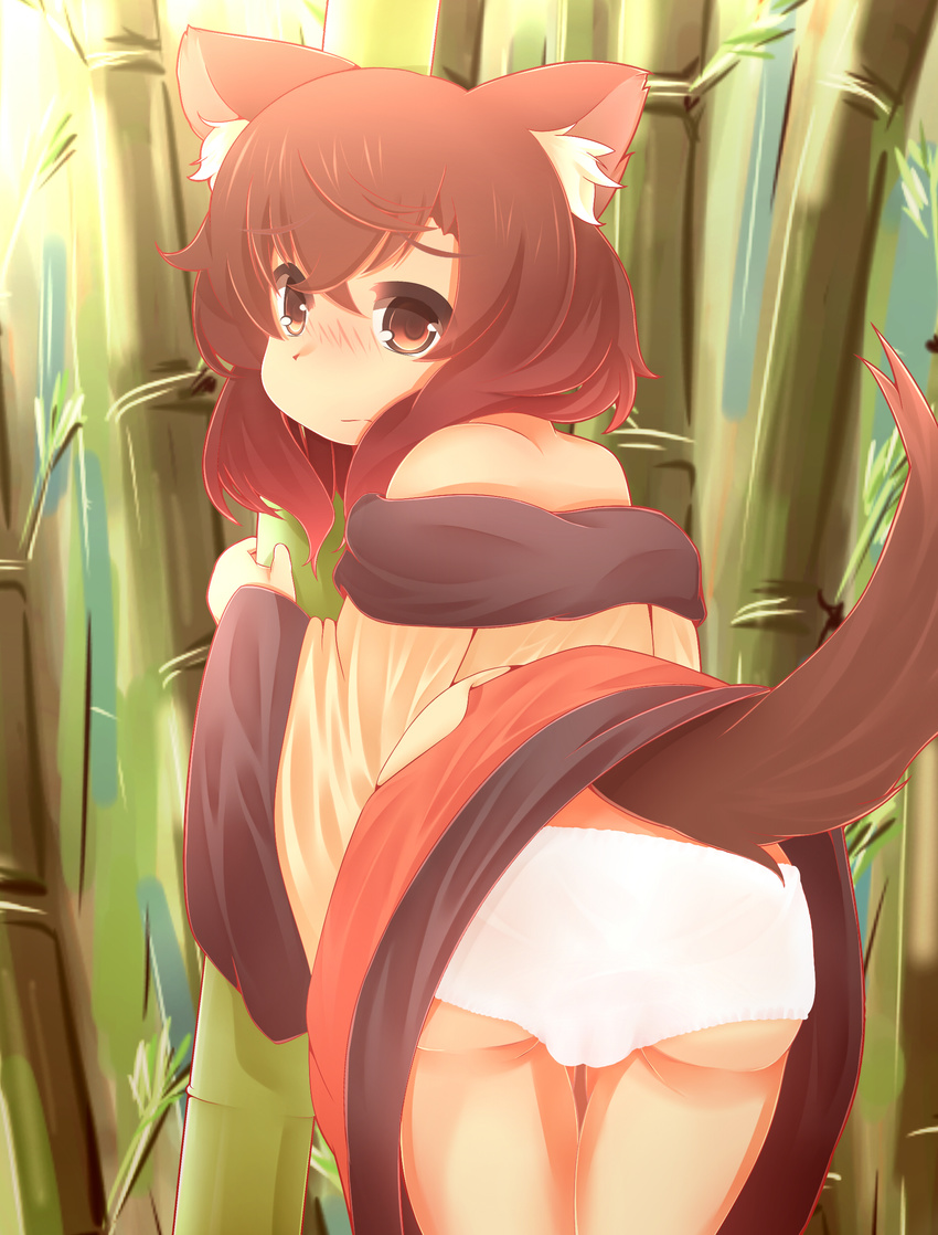 2015 akatsuki_no_guuru animal_humanoid blush brown_eyes brown_fur brown_hair butt clothed clothing dog_humanoid female fur hair humanoid leaning leaning_forward looking_at_viewer looking_back panties rear_view solo underwear