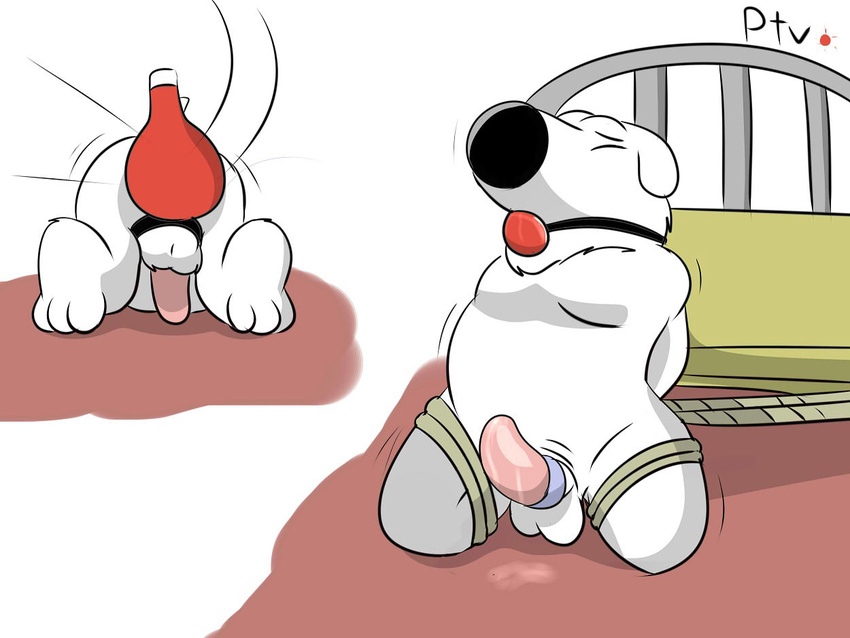anthro ball_gag balls bound brian_griffin canine dog family_guy gag male mammal penis rope zzee123
