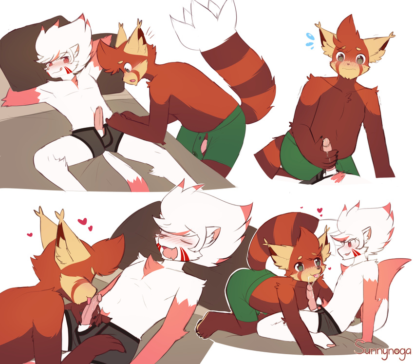 anthro blush boxers_(clothing) clothing embarrassed eyes_closed ferret green_eyes licking lying male male/male mammal masturbation mustelid on_back oral penis penis_lick precum red_eyes red_panda sex sunnynoga tongue tongue_out underwear undressing