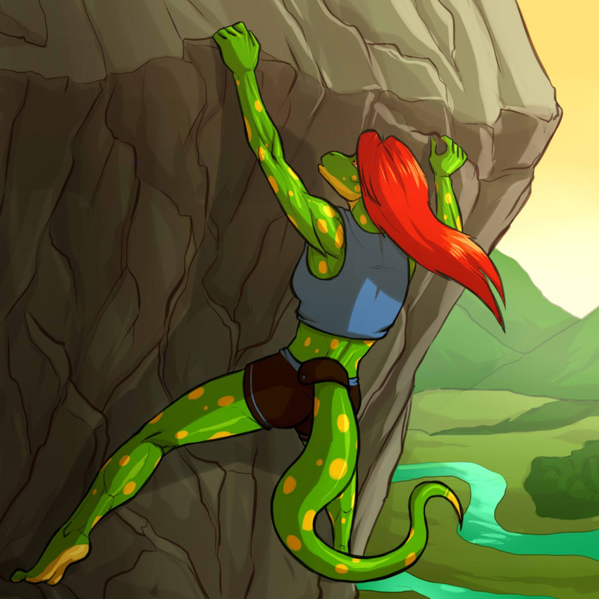 amber_eyes anthro athletic barefoot black_shorts blue_topwear bra climbing clothing female forest gecko hair hill kostos_art ledge lizard midriff mountain nature outside red_hair reptile river scalie shorts solo sports_bra spots tiana tree underwear