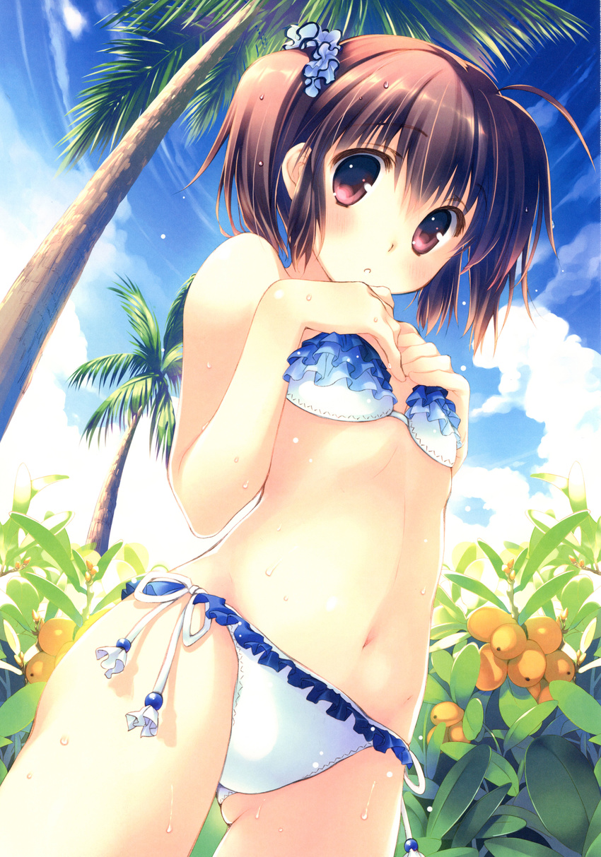 absurdres ahoge ass_visible_through_thighs bangs bare_shoulders bikini blue_scrunchie blue_sky blush breast_suppress brown_hair cloud cowboy_shot day eyebrows_visible_through_hair flat_chest food frilled_bikini frills fruit hair_ornament hair_scrunchie hands_on_own_chest highres looking_at_viewer mitsumi_misato navel official_art outdoors palm_tree red_eyes scan scrunchie short_twintails side-tie_bikini sky solo sweat swimsuit to_heart_2 tree twintails wet yuzuhara_konomi
