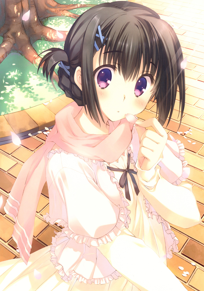 absurdres bangs black_hair blush day dress eyebrows_visible_through_hair folded_ponytail frills hair_ornament hairclip hanesaki_mio highres holding long_sleeves looking_at_viewer mitsumi_misato official_art outdoors petals pink_dress purple_eyes scan scarf solo to_heart_2 tree upper_body