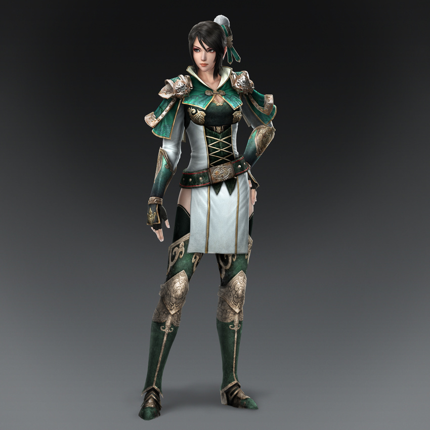 cg dynasty_warriors_8 tagme