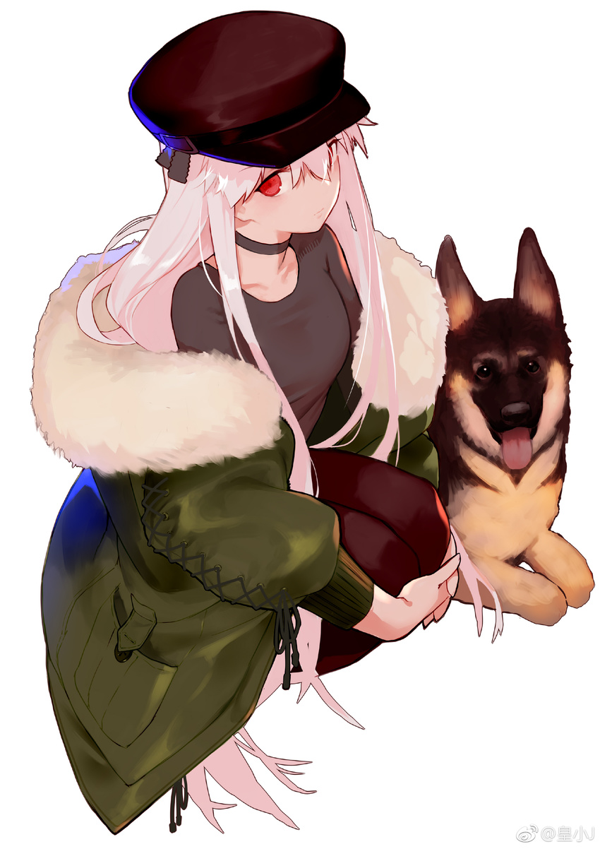 absurdres artist_name black_legwear breasts casual choker closed_mouth dog from_above fur_trim german_shepherd girls_frontline hair_between_eyes hat highres interlocked_fingers jacket joseph_lee kar98k_(girls_frontline) long_hair long_sleeves medium_breasts off_shoulder pantyhose pink_hair red_eyes sidelocks simple_background solo squatting very_long_hair watermark weibo_logo weibo_username white_background