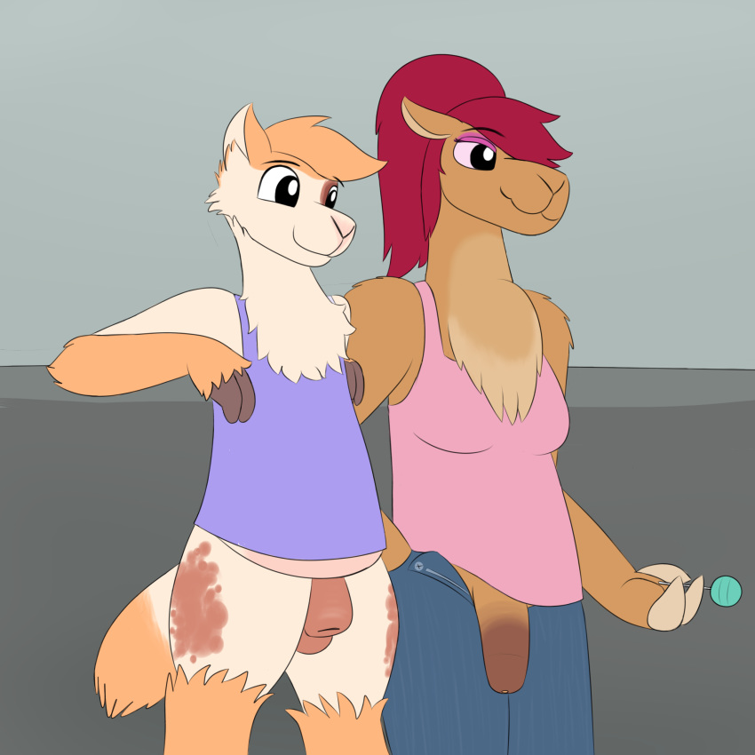 alpaca animal_genitalia anthro bottomless camelid candy chest_tuft clothed clothing cloven_hooves crocodilianbooty dickgirl flaccid food foreskin fur hair hooves intersex jeans lollipop makeup male mammal olli_(braeburned) pants penis pink_sclera ponytail sheath shirt skylor_(crocodilianbooty) tank_top tuft uncut vicu&ntilde;a wool