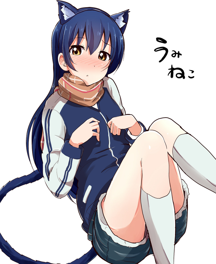 animal_ears bangs blue_hair blue_jacket blush cat_ears cat_tail commentary_request fake_animal_ears hair_between_eyes highres jacket long_hair looking_at_viewer love_live! love_live!_school_idol_project paw_pose scarf shorts simple_background solo sonoda_umi tail tata_(tataice) white_background yellow_eyes