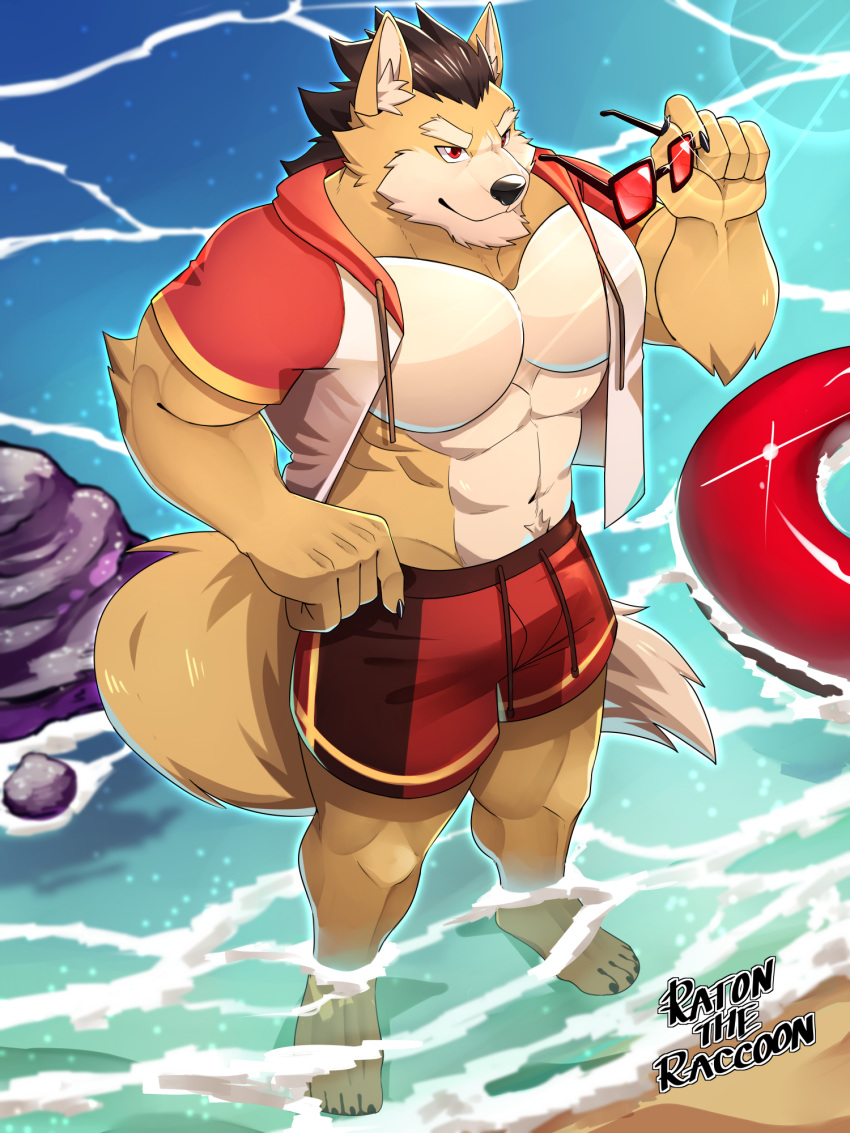 2018 abs absurd_res anthro biceps big_muscles canine clothing darkzerojack detailed_background digital_media_(artwork) eyewear fur hair hi_res male mammal muscular muscular_male open_hoodie outside pecs seaside summer sunglasses swimsuit