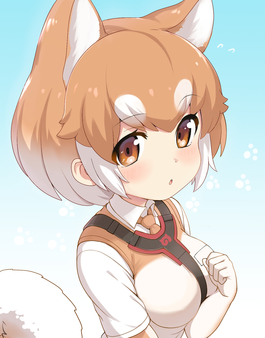 :o animal_ears blue_background blush breast_pocket breasts brown_eyes brown_gloves brown_neckwear brown_vest collared_shirt dog_(kemono_friends) dog_girl elbow_gloves extra_ears eyebrows_visible_through_hair flying_sweatdrops gloves gradient gradient_background gradient_hair hand_up highres japari_symbol kemono_friends light_brown_hair looking_at_viewer medium_breasts multicolored multicolored_background multicolored_clothes multicolored_gloves multicolored_hair necktie open_mouth paw_background paw_pose pocket ransusan round_teeth shirt short_hair short_sleeves tail tareme teeth two-tone_background two-tone_hair upper_body upper_teeth vest white_background white_gloves white_hair white_shirt white_vest