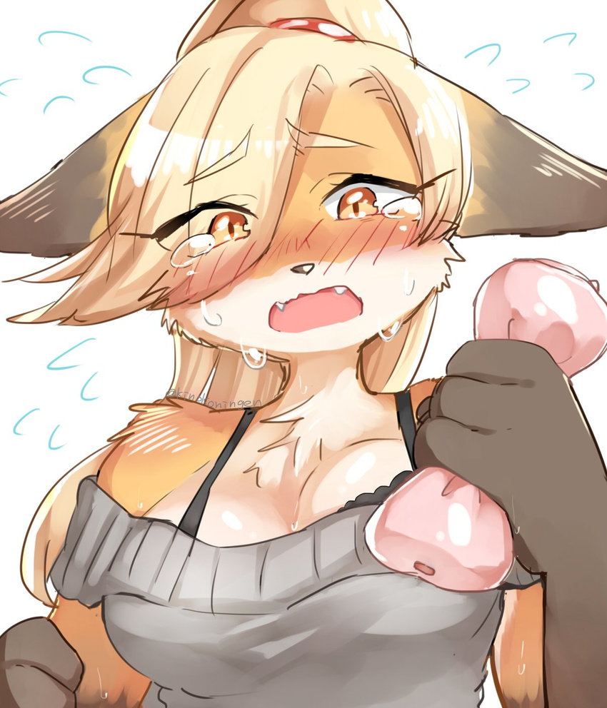 anthro blonde_hair blush breasts canine clothing crying fangs female flying_sweatdrops fox hair kinokoningen mammal open_mouth orange_eyes penetrable_sex_toy sex_toy sweat sweatdrop sweater tears