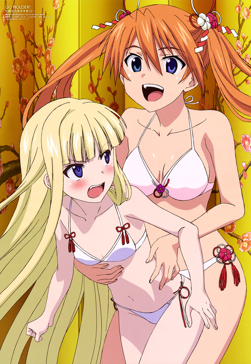 :d absurdres animedia bangs bikini blonde_hair blue_eyes blunt_bangs blush breasts cleavage collarbone evangeline_a_k_mcdowell fang flower_knot heterochromia highres kagurazaka_asuna long_hair looking_at_another looking_at_viewer magazine_scan mahou_sensei_negima! medium_breasts multiple_girls navel official_art open_mouth orange_hair purple_eyes scan small_breasts smile swimsuit tassel twintails upper_teeth uq_holder! v-shaped_eyebrows very_long_hair yamaguchi_anna