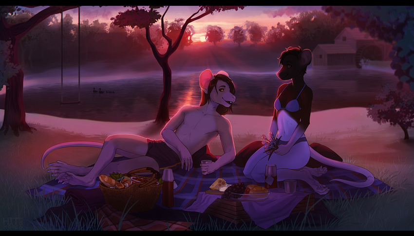 anthro barefoot black_bars bra brown_hair clothed clothing day digital_media_(artwork) duo female grass hair hitmore male mammal mouse outside rat rodent sky smile topless underwear water