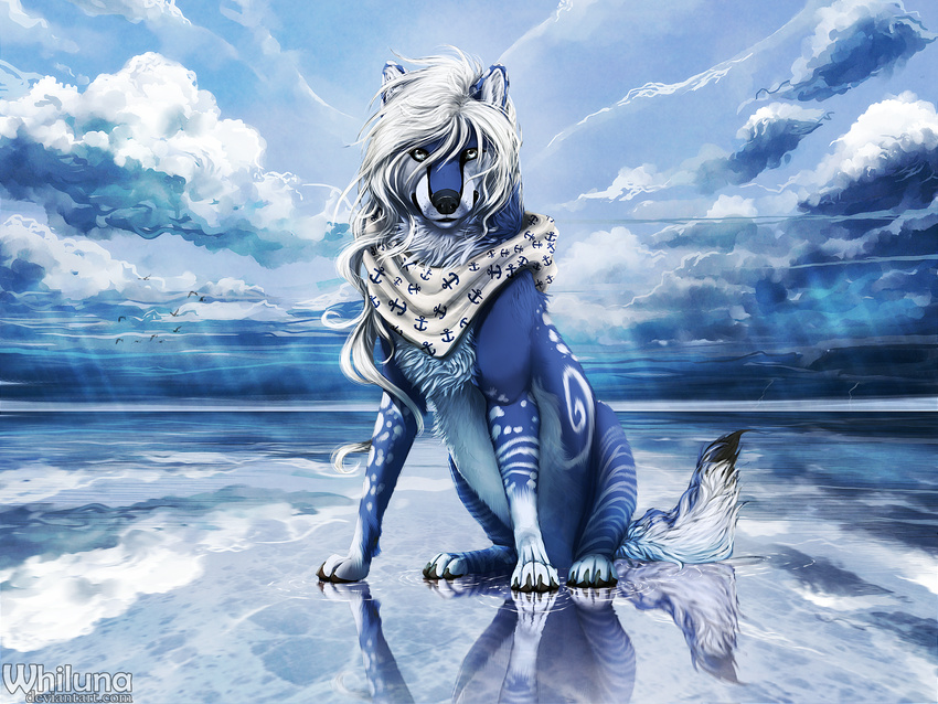 beach blue_fur blue_theme canine claws cloud female feral fur hair hindpaw mammal markings paws reflection scarf sea seaside sitting sky solo storm water whiluna white_eyes white_hair white_markings wolf