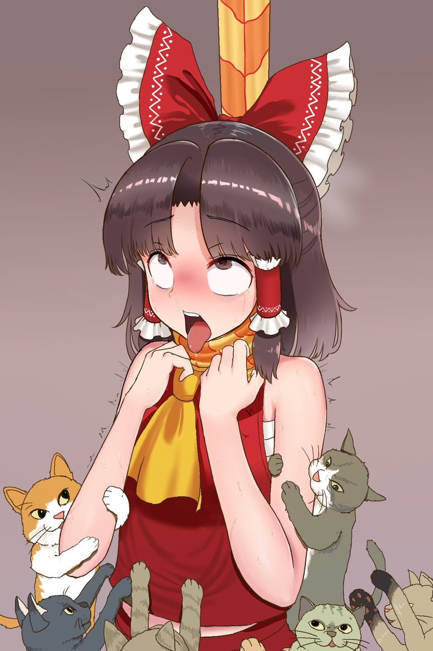 ascot asphyxiation bangs bare_arms benikurage bow brown_background brown_eyes brown_hair cat commentary_request cookie_(touhou) drooling eyebrows_visible_through_hair hair_bow hair_tubes hakurei_reimu hanged highres looking_up open_mouth pai_kebon_baa red_bow saliva sarashi scarf short_hair sidelocks sleeveless sweat tears tongue tongue_out touhou trembling upper_body