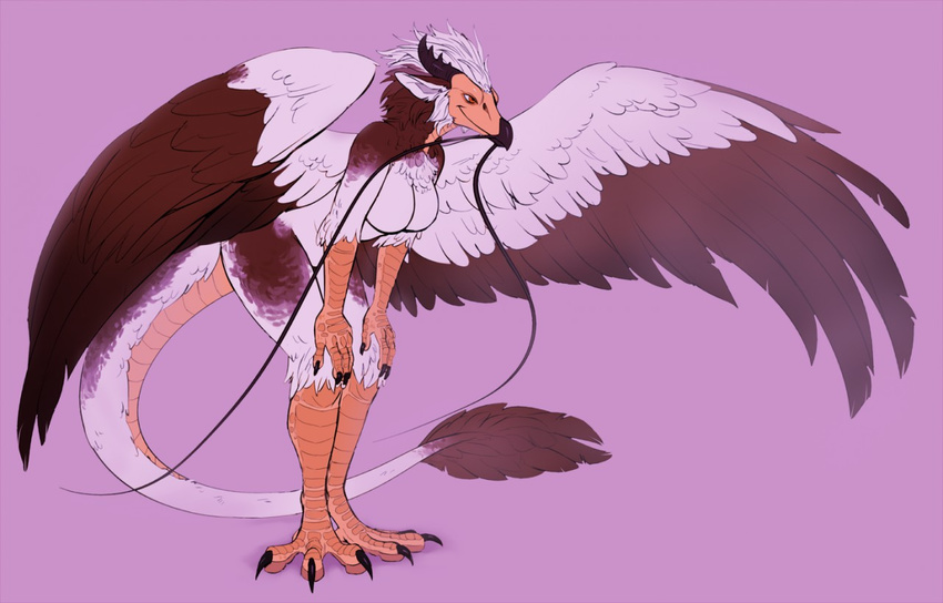 anthro avian beak bird breasts dragon eastern_dragon egyptian_vulture eva_(ozawk) feathers female hybrid jubilations solo vulture