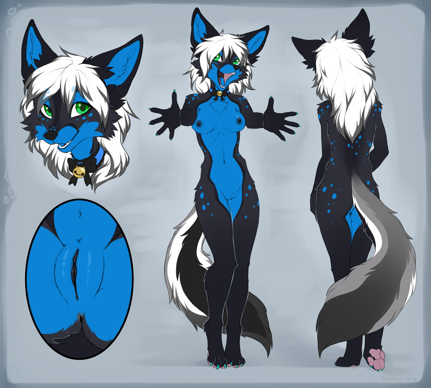 2016 anthro anus black_anus black_body black_breasts black_fur black_pussy blue_body blue_fur breasts canid canine canis collar female fluffy fluffy_tail fur genitals green_eyes grey_tail hair hioshiru mammal model_sheet pawpads pussy solo tail white_hair wolf