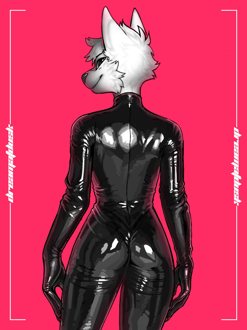 anthro butt canid canine clothing dreamatdusk glistening glistening_latex hi_res latex latex_clothing male mammal simple_background solo standing tailless