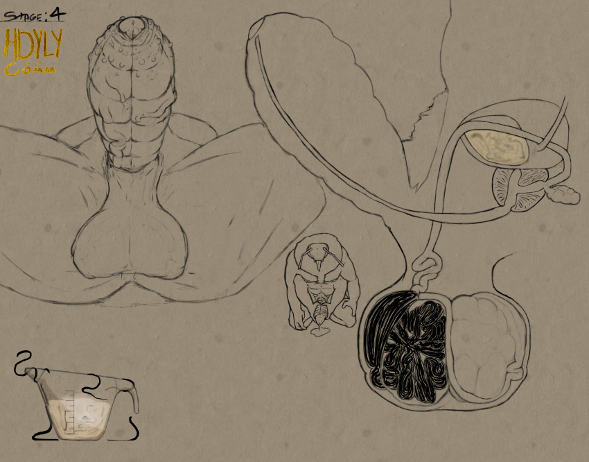 absurd_res anthro anthro_insect armpit_hair arthropod artist_logo artist_name ball_bulge ball_growth ball_inflation balls balls_expansion bee bladder bodily_fluids body_hair bumble_bee_(species) cock_vore cum cum_in_a_cup cum_in_container cutaway diagram digital_media_(artwork) digitigrade dripping epididymis erection expansion foreskin front_view genital_expansion genital_fluids genital_growth genitals glans gooning growth hdyly hi_res hymenopteran infestation infested_cum infesticles insect internal leaking_precum line_art logo male masturbation miel_the_bumblebee neck_tuft nipple_piercing nipples nude nude_anthro nude_male organs penile penis piercing precum precum_drip precum_on_ground precum_string prostate pubes series side_profile side_view signature tuft urethra urethra_worm urethral urine vein veiny_penis vore