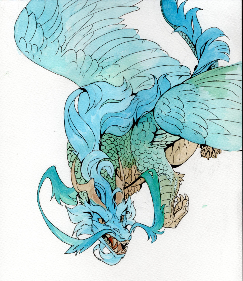 absurd_res ambiguous_gender blue_body blue_fur blue_mane blue_scales blue_wings corzh77 dragon fangs feathered_wings feathers feral fur hi_res mane open_mouth painting_(artwork) pupils scales simple_background slit_pupils solo tan_body tan_eyes tan_scales teeth traditional_media_(artwork) watercolor_(artwork) white_background wings