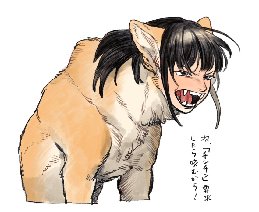 1girl angry animal_ears black_eyes black_hair brown_fur dog_ears dog_girl fangs furrowed_brow growling highres human_head long_hair looking_at_viewer open_mouth original sidelocks simple_background sitting solo suzumori_521 translation_request upper_body white_background