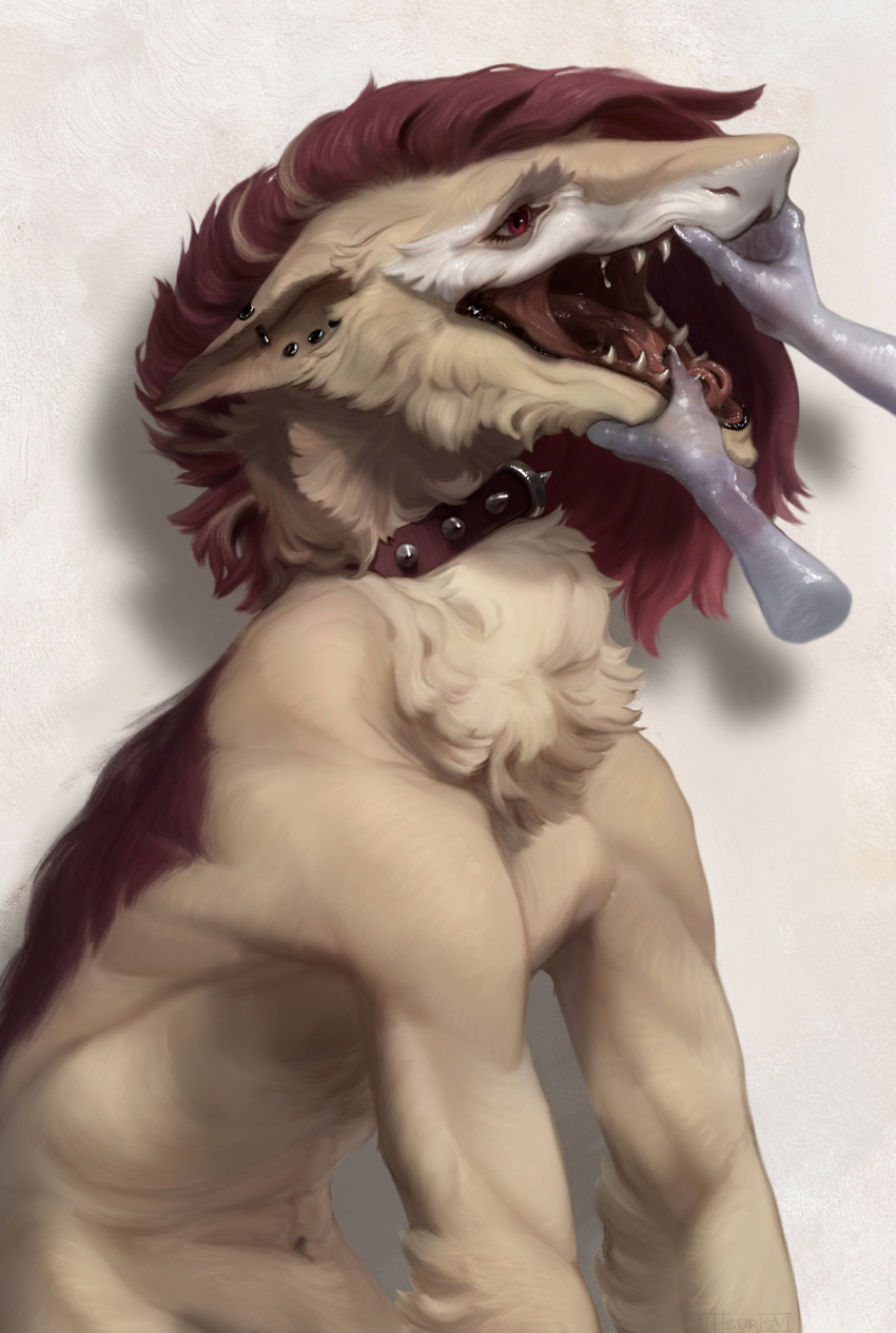 anthro atsuris bodily_fluids collar disembodied_hand ear_piercing hi_res neck_tuft niro_(niron) open_mouth piercing red_eyes saliva sergal sharp_teeth solo teeth tongue tuft