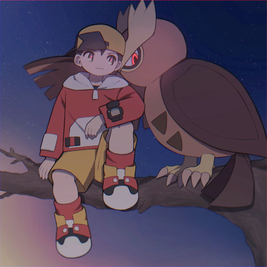 1boy backwards_hat baseball_cap bird black_hair closed_mouth ethan_(pokemon) full_body hat highres hood hood_down hooded_jacket huyugmy in_tree jacket long_sleeves male_focus night noctowl outdoors pokegear pokemon pokemon_(creature) pokemon_gsc red_eyes red_socks shoes shorts sitting sitting_in_tree socks star_(sky) tree yellow_shorts