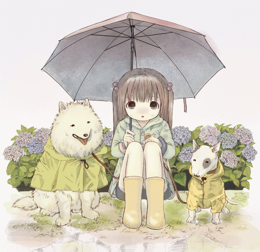 1girl black_eyes dog flower grey_umbrella highres hood hood_down hydrangea leaf leash original plant reflection shiromomo_sofuto solo squatting yellow_footwear yellow_raincoat