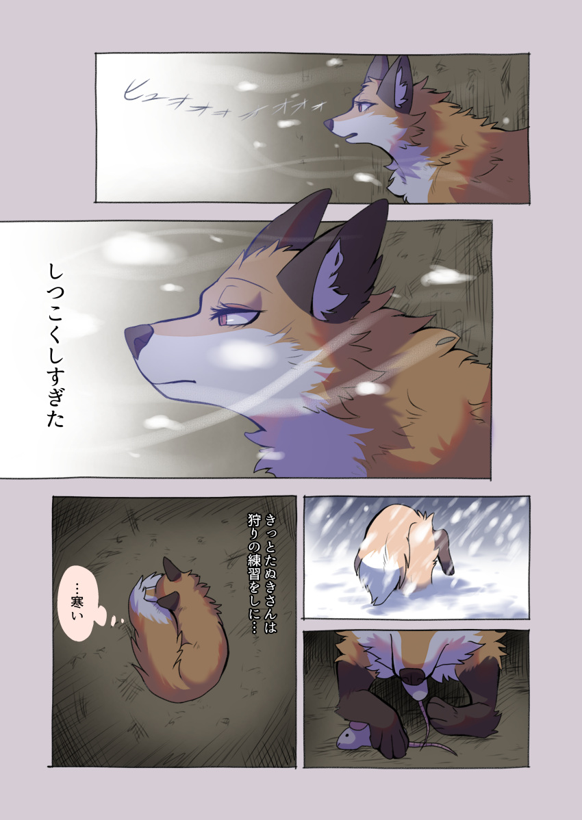 2024 absurd_res black_nose brown_ears canid canine cheek_tuft comic countershading dialogue digital_media_(artwork) dipstick_tail eating eyelashes facial_tuft female feral fluffy fluffy_tail food_in_mouth fox fur gloves_(marking) hi_res inner_ear_fluff inside japanese_text kurumilky6 leg_markings mammal markings mikan_(kurumilky6) mouse multicolored_body multicolored_fur multiple_scenes murid murine orange_body orange_fur orange_tail outside prick_ears quadruped red_eyes rodent snow snowing socks_(marking) solo speech_bubble tail tail_markings text translated tuft white_body white_fur white_inner_ear_fluff white_tail_tip