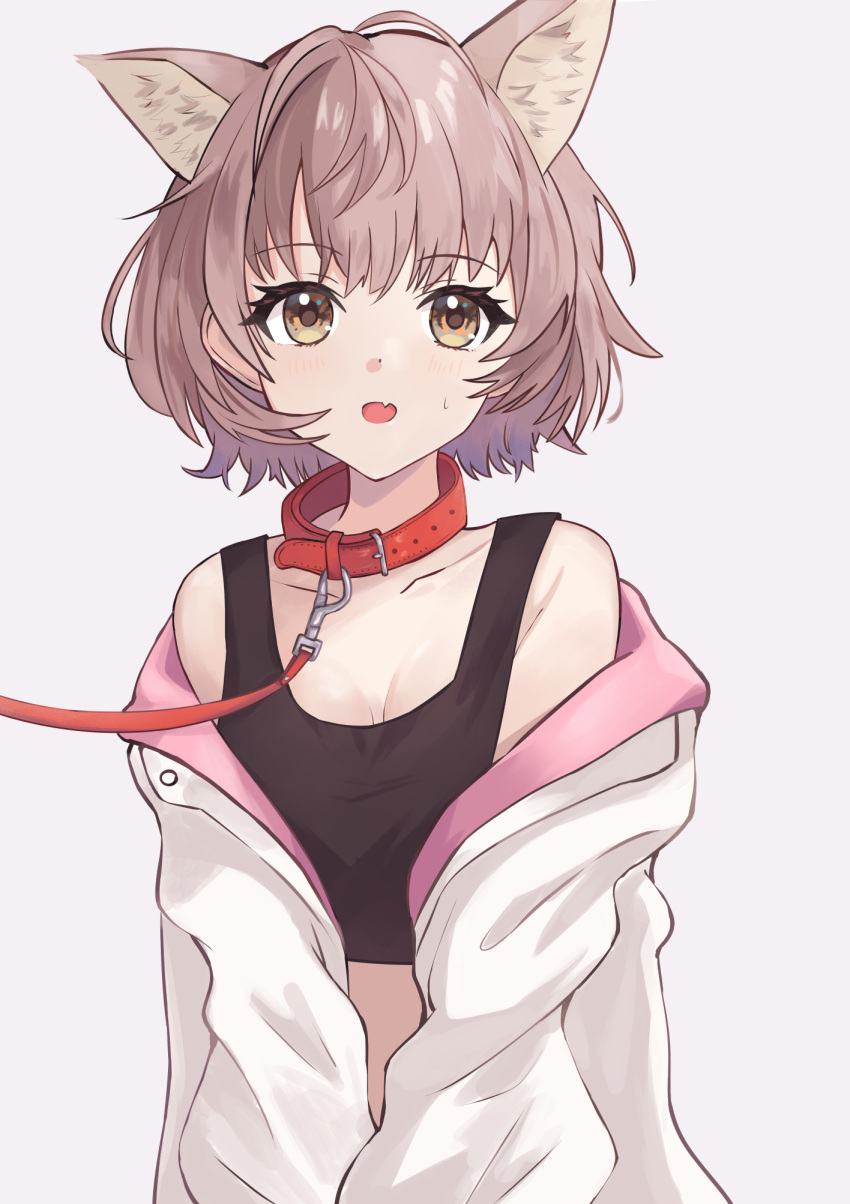 1girl :o andon animal_collar animal_ears bare_shoulders black_sports_bra breasts brown_hair collar collarbone fang highres idolmaster idolmaster_shiny_colors ikuta_haruki jacket jacket_partially_removed kemonomimi_mode leash looking_at_viewer open_clothes open_jacket short_hair simple_background skin_fang solo sports_bra sweatdrop two-sided_fabric two-sided_jacket upper_body viewer_holding_leash white_background
