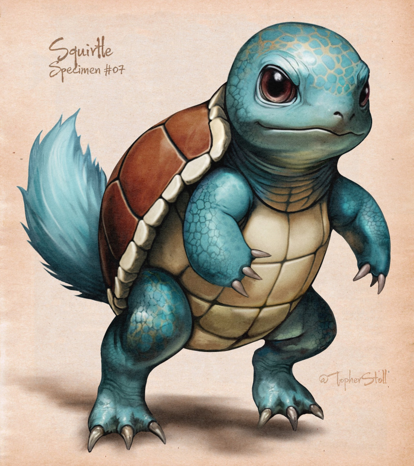 absurdres character_name christopher_stoll full_body highres no_humans pokemon pokemon_(creature) realistic shadow shell solo squirtle tail twitter_username